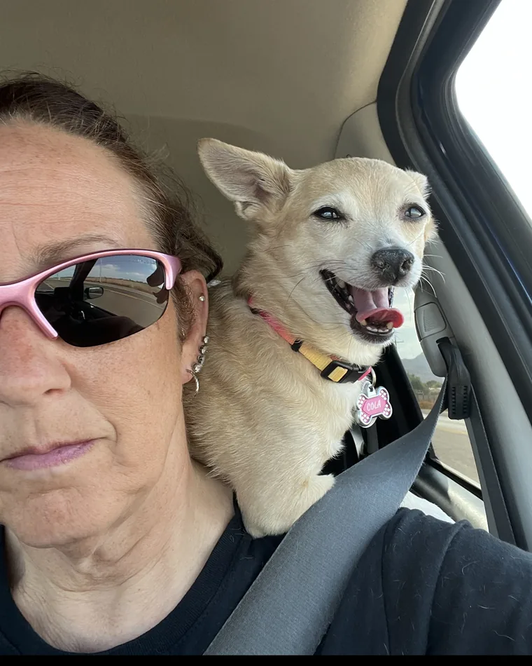 Britni driving with Cola, her Chihuahua, riding on her shoulder