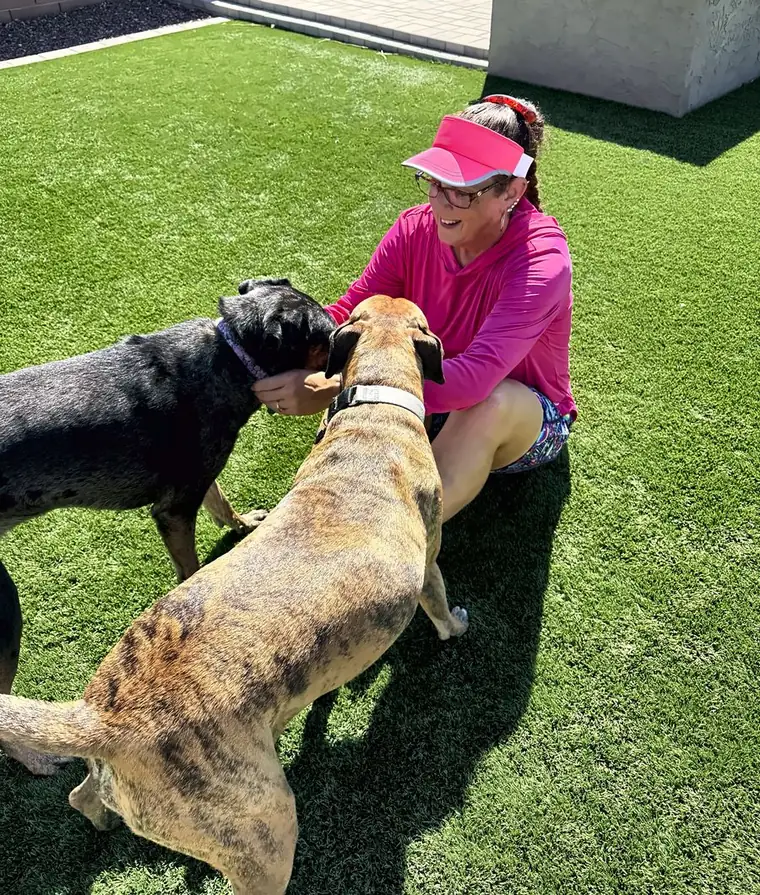 Britni sitting on the turf greeting a black dog and a brindle dog
